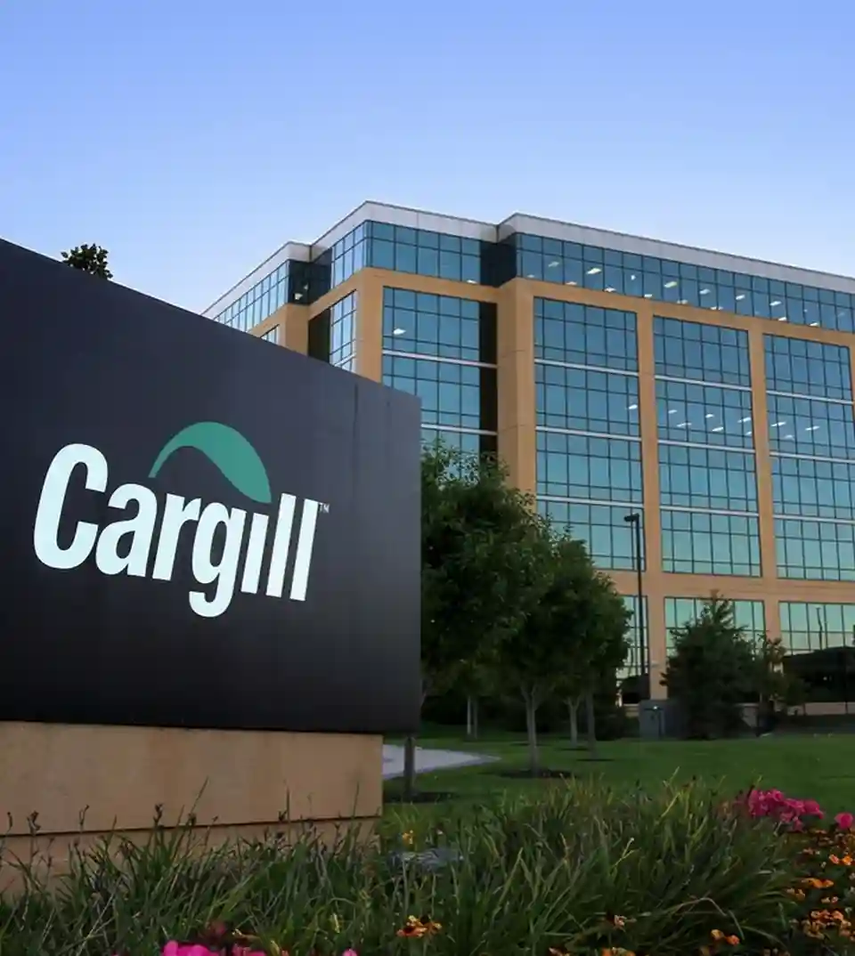 Cargill India MEP & Fire Safety Project